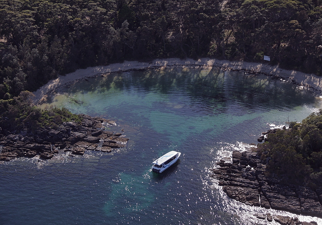 杰维斯湾野生巡航-赫斯基森必去景点