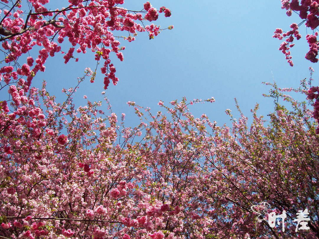昆明动物园-昆明市必去景点
