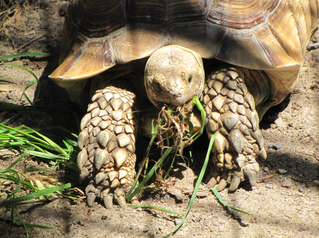 Riverview Park & Zoo-彼得伯勒必去景点