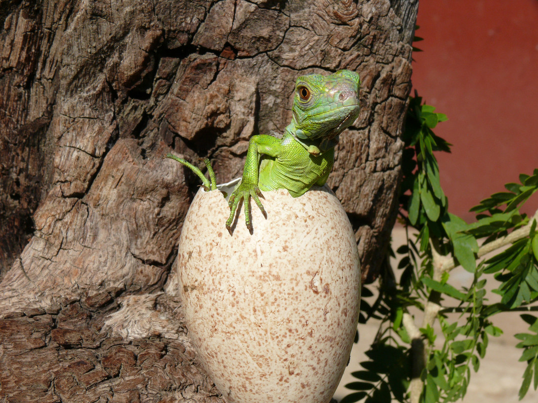 Aventura Mundo-瓦图尔科必去景点