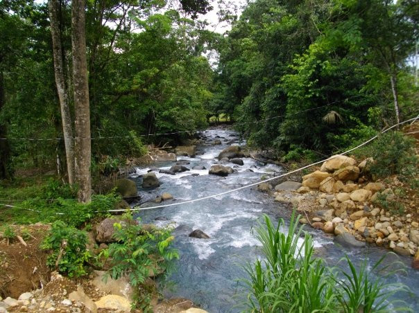 Carara National Park景点图片