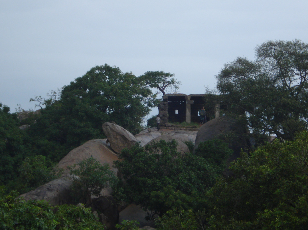 Mahishasuramardini Cave景点图片