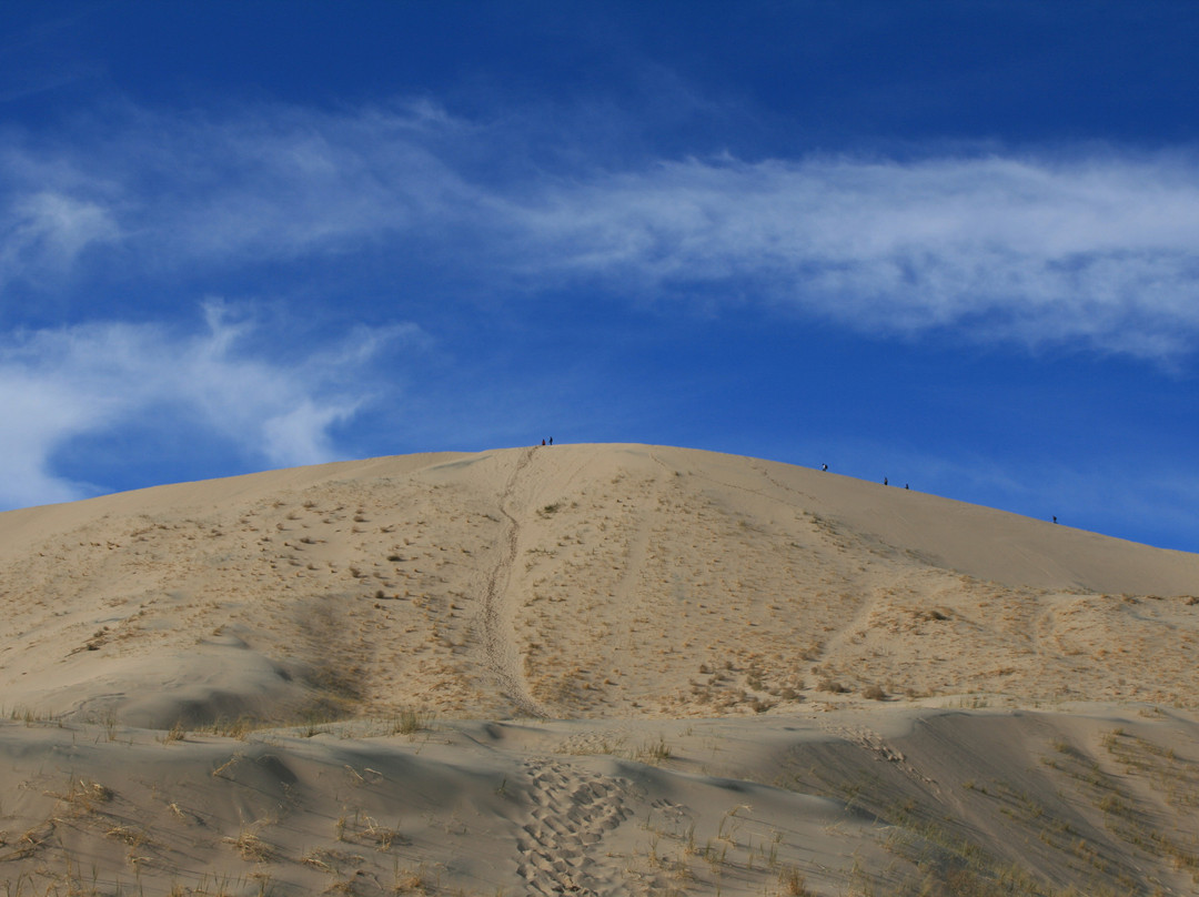 Kelso Dunes景点图片
