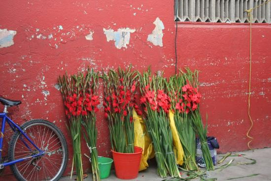 Mercado de Artesanias-瓦哈卡必去景点