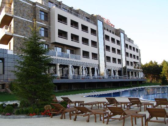 Park Hotel Europe-泳池