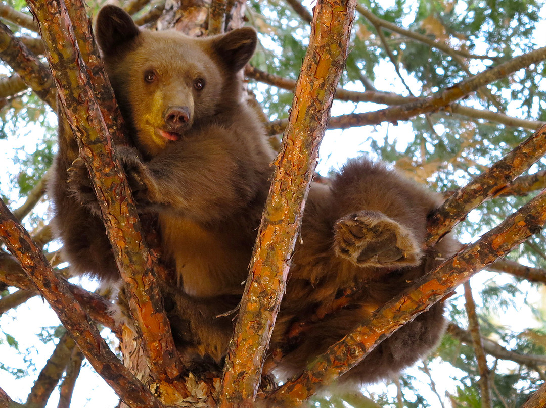 Tahoe Photographic Tours-南太浩湖必去景点
