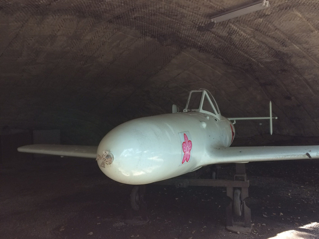 Oka Park-鹿岛市必去景点