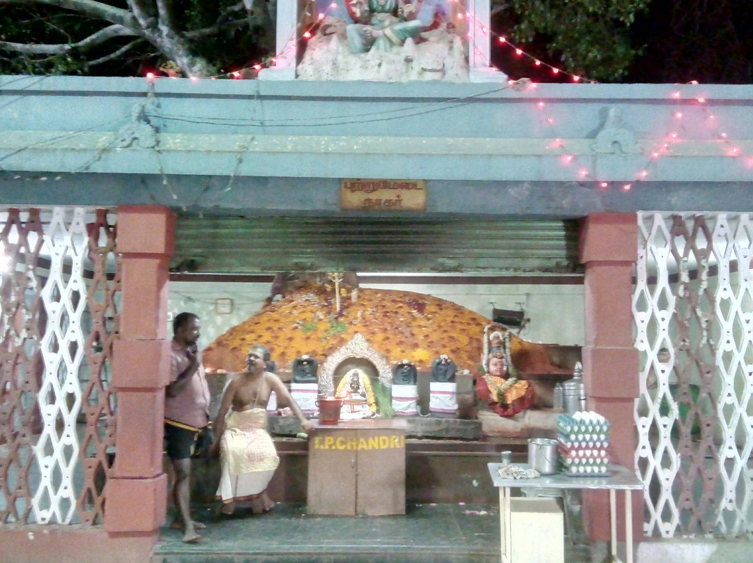 Thiruverkadu Devi Karumariamman Temple景点图片