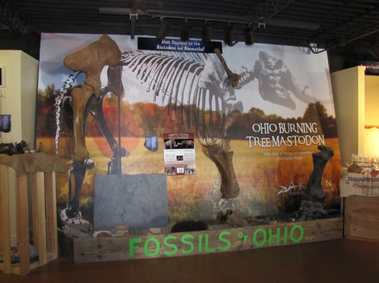 Akron Fossils & Science Center-Copley必去景点
