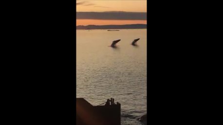 Ilulissat Guesthouse-酒店景观