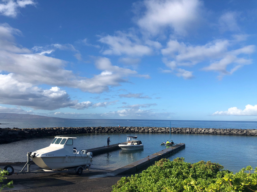 Freedive Hawaii景点图片