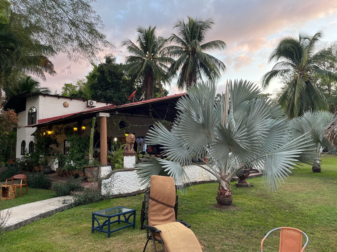 Hotel Paraiso del Cocodrilo主图