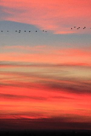 Bitter Lake National Wildlife Refuge-罗斯威尔必去景点