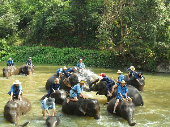 Thai Elephant Conservation Center-南邦必去景点