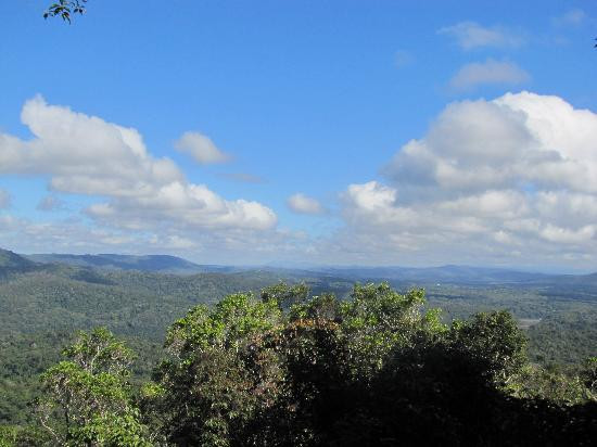 Skyrail Rainforest Cableway-Smithfield必去景点