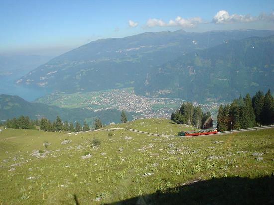 Schynige Platte Jardin Botanique Alpin