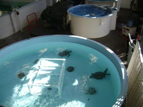 Marine Science Center景点图片