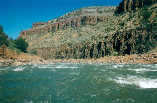 Wilderness Aware Rafting-布埃纳维斯塔必去景点