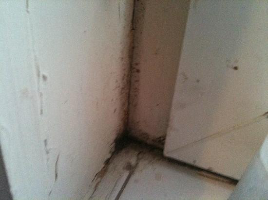 克罗伊登庭院酒店