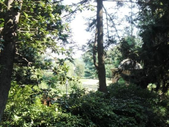 圣方济修道院-华盛顿特区必去景点