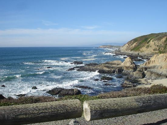 Bodega Head景点图片