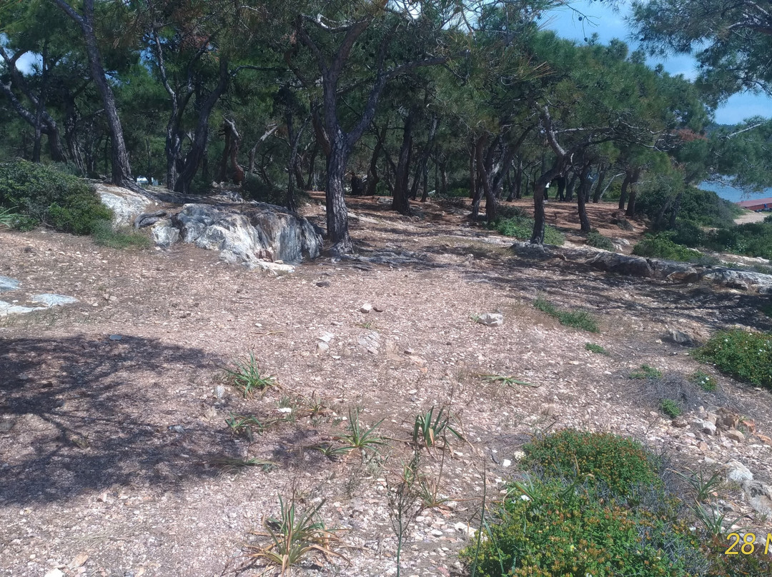 Ortunç Koyu-Cunda Island必去景点