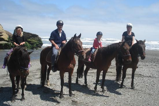 Punakaiki Horse Treks景点图片