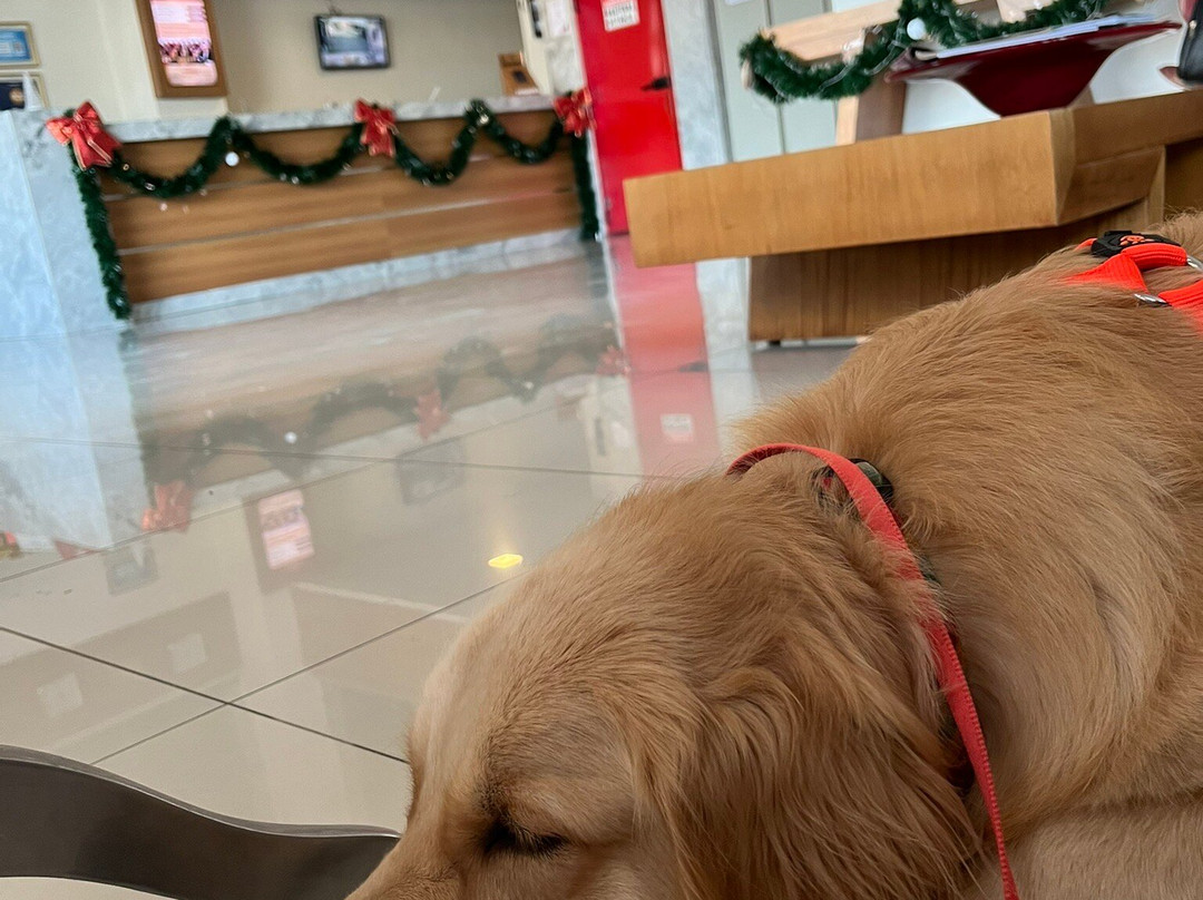 Hotel Caju de Ouro主图