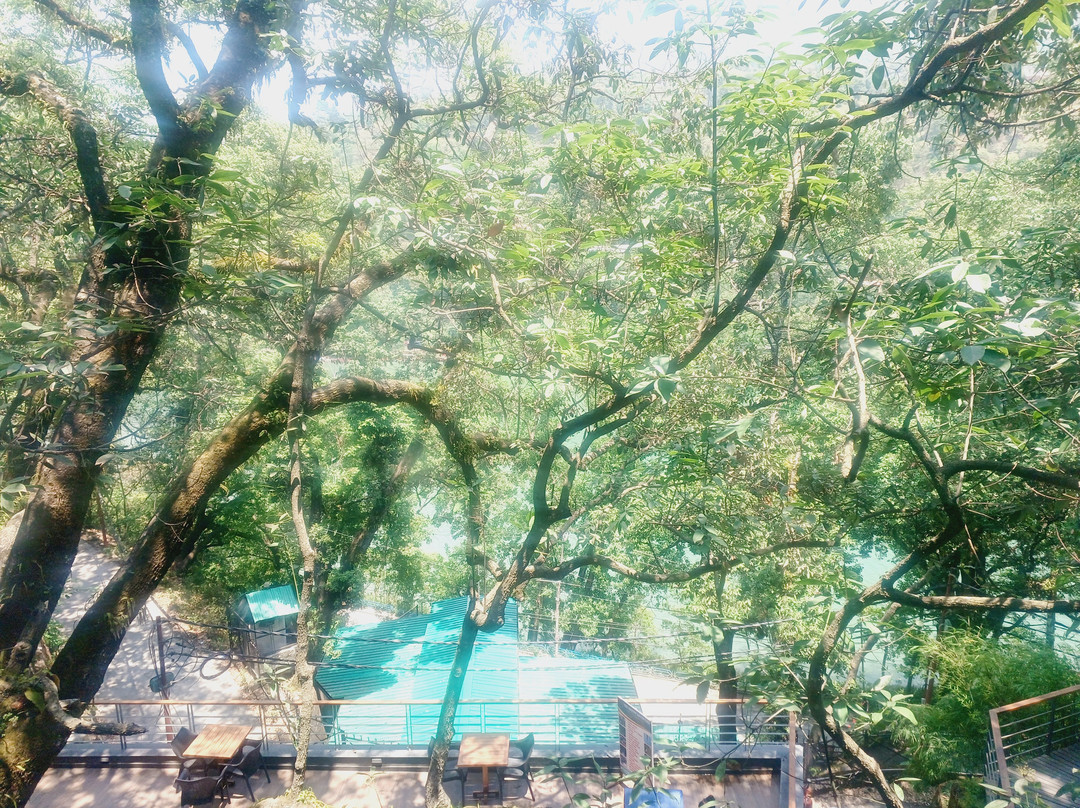 Rosefinch Sarovar Portico主图