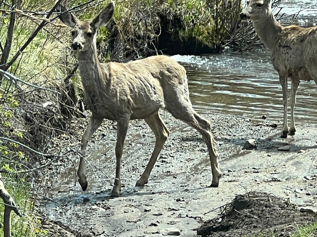 Mountain Master Off-Road Tours-Mosca必去景点