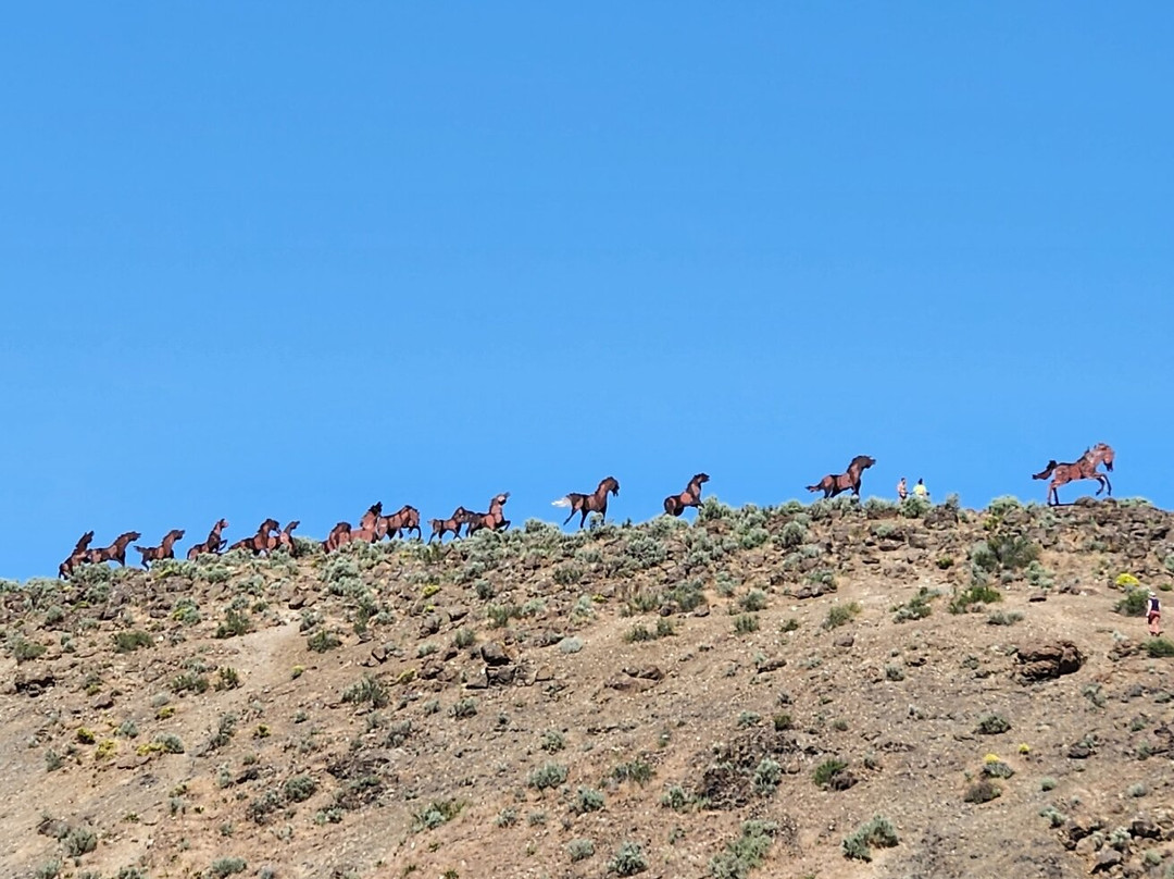 Wild Horse Monument景点图片