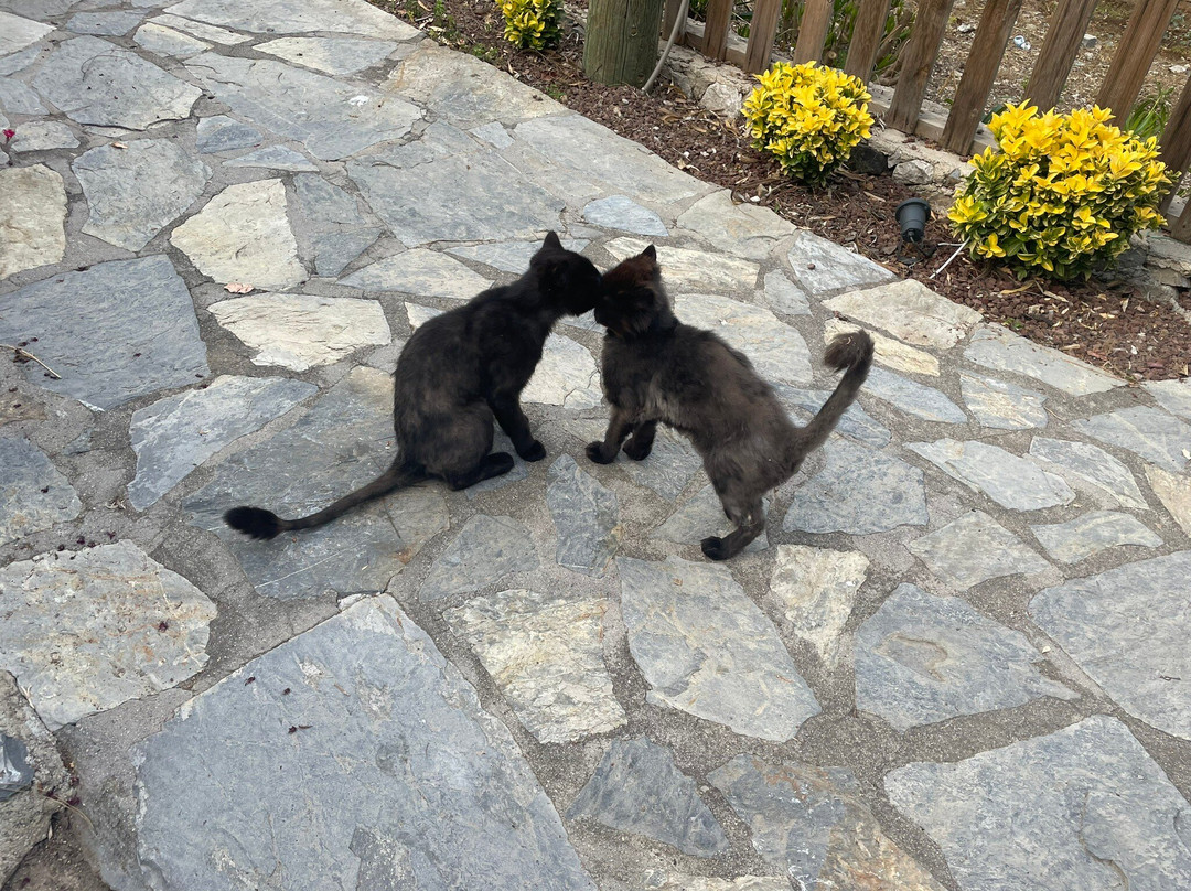 Knight Island-费特希耶必去景点