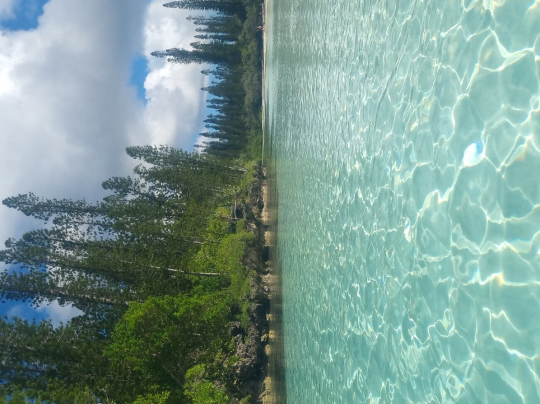 Piscine Naturelle景点图片