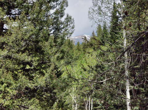 Wilderness on Wheels-Grant必去景点