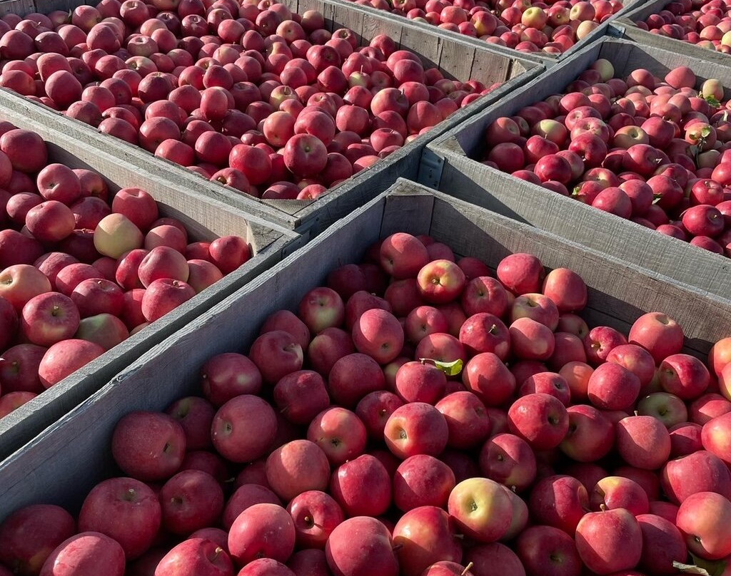 Oakwood Fruit Farm-Richland Center必去景点