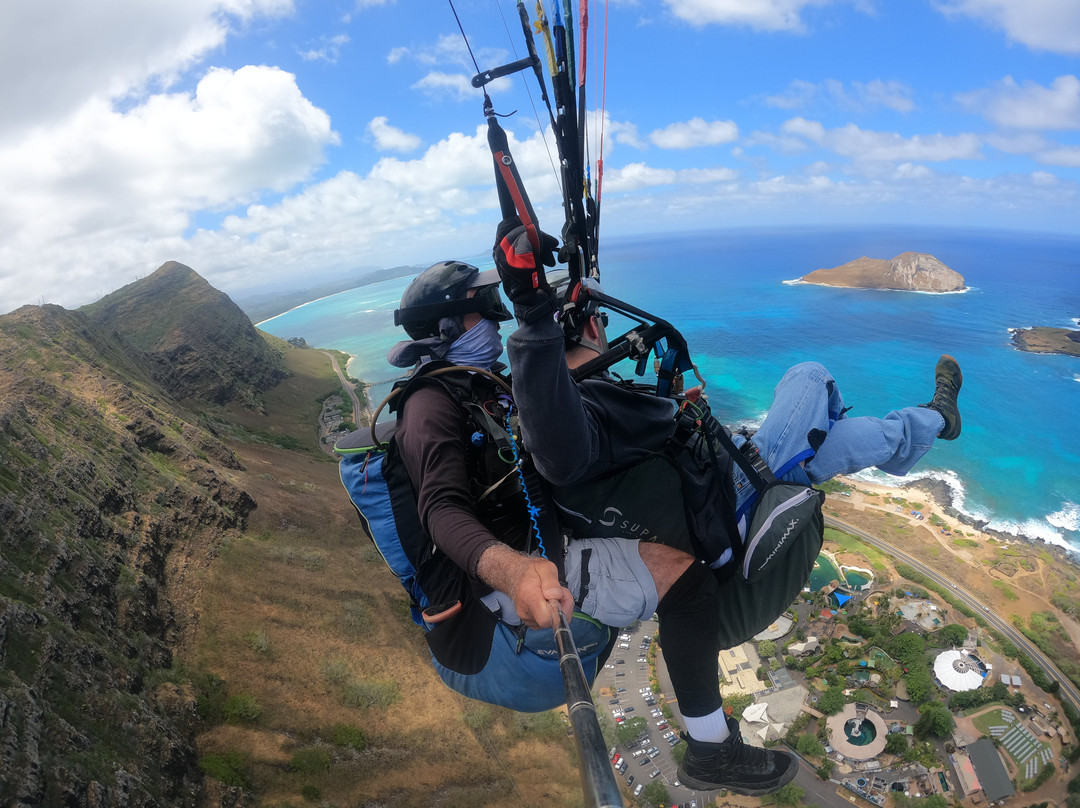 O'ahu Hawaii Tandem Paragliding-威玛纳诺必去景点