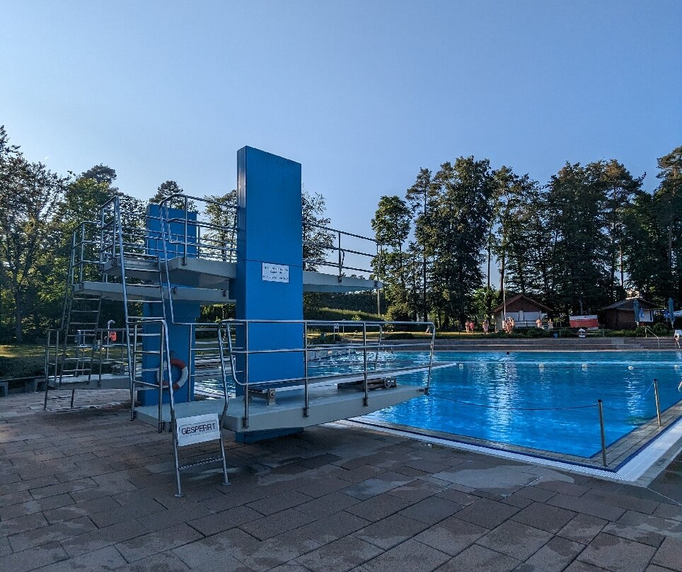 Waldfreibad Rodenbach景点图片