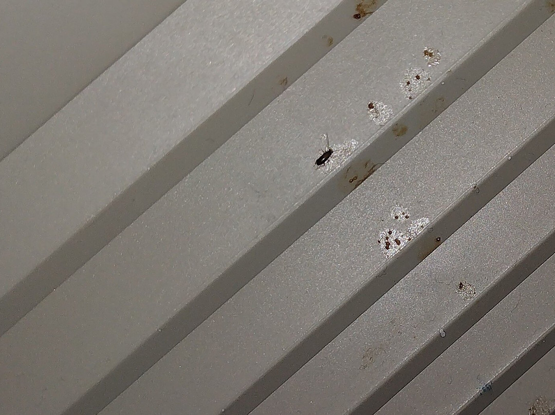 Holiday Inn Express & Suites Houston E - Pasadena by IHG主图