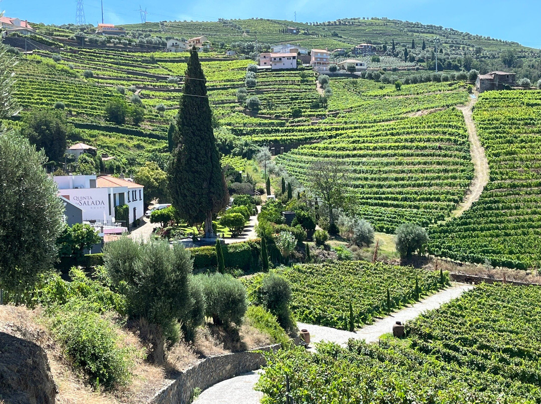 Quinta da Salada主图