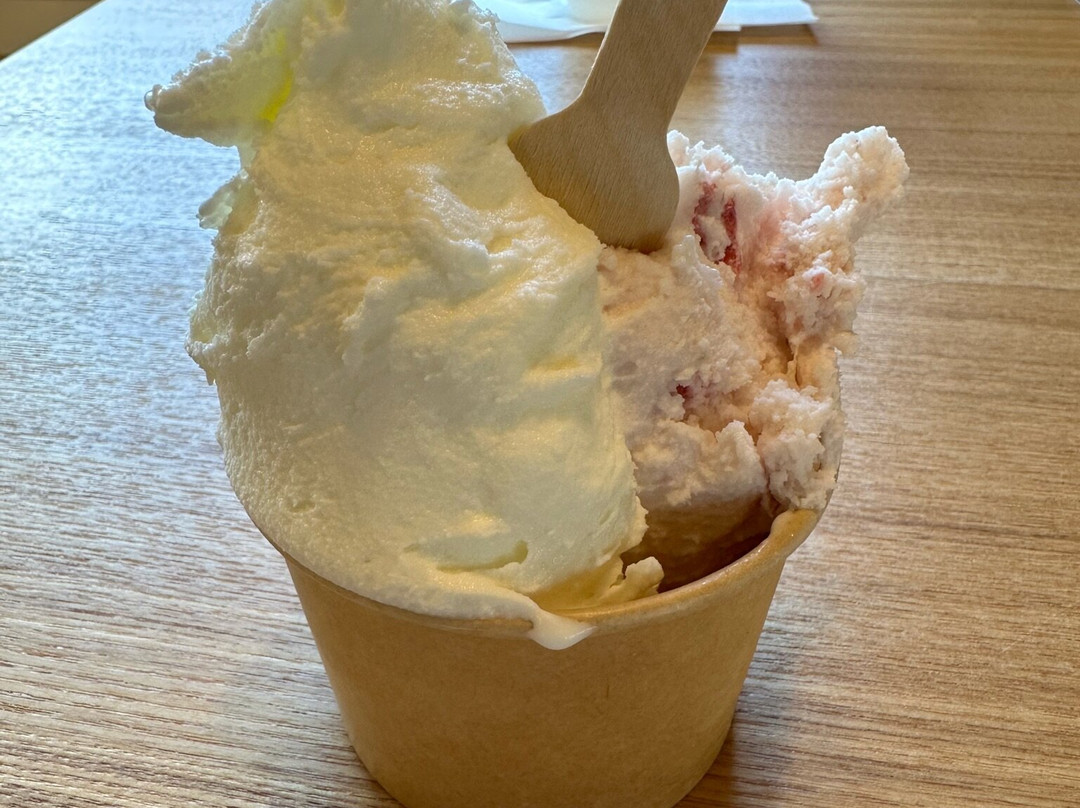 Fruit Gardem Shirone Grapes Garden-新泻市必去景点