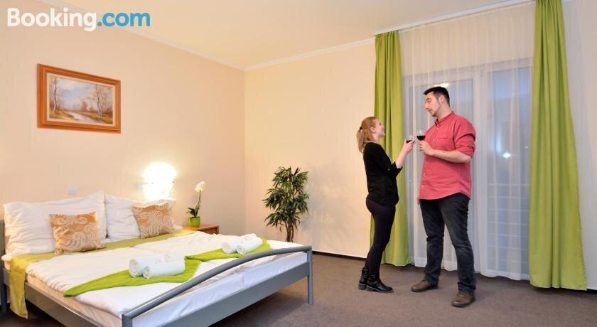 Viktoria Wellness Hotel主图