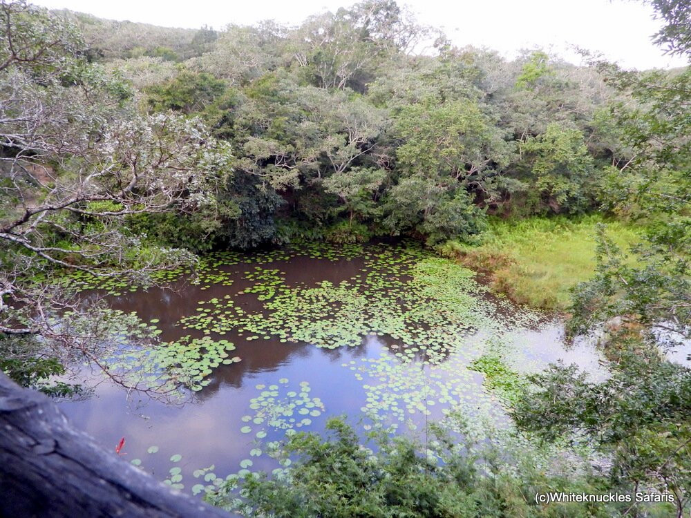 Shimba Hills Lodge主图