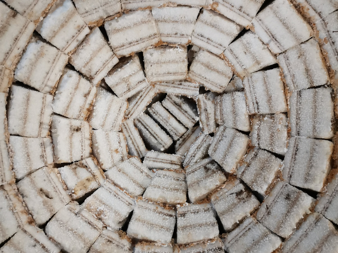 萨尔宫殿酒店主图