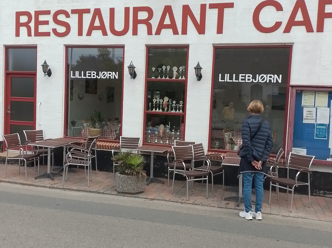 Lillebjørn