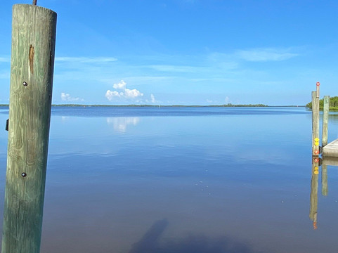 Everglades Florida Adventures-大沼泽地必去景点