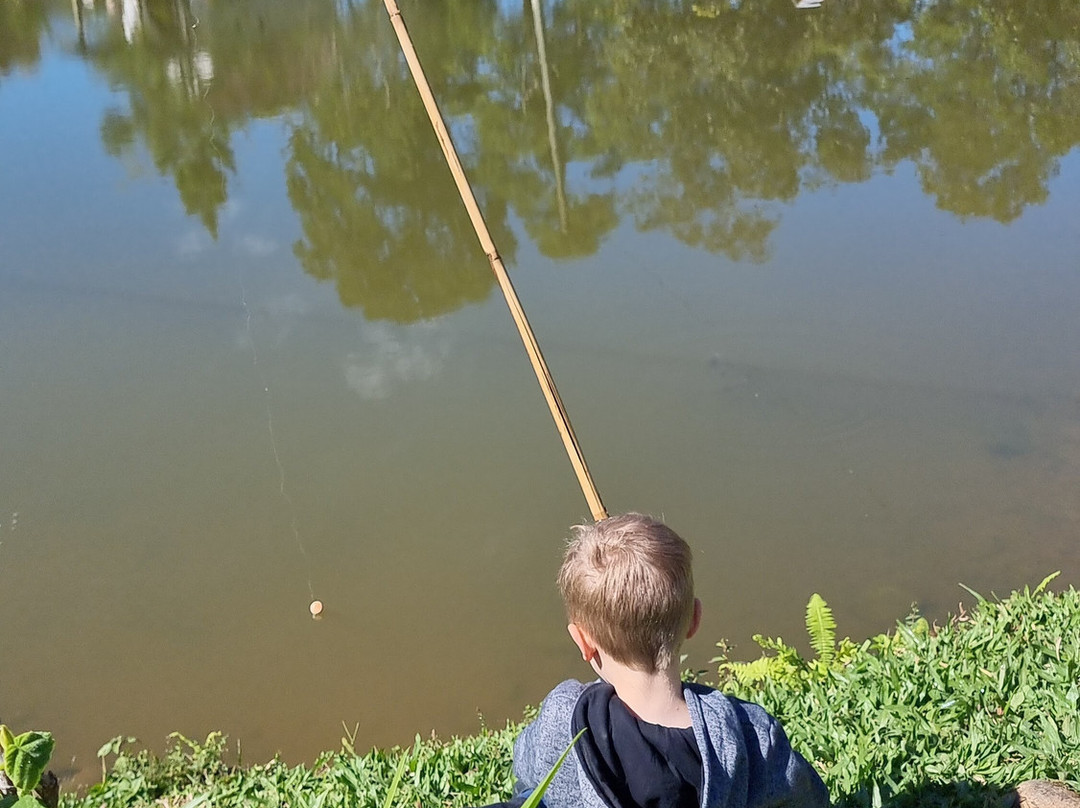 Pousada Pouso Das Águias主图