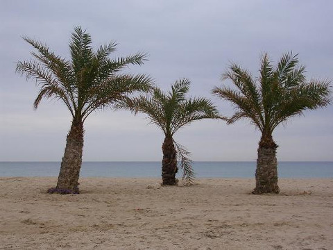 Playa Muchavista-坎佩略必去景点