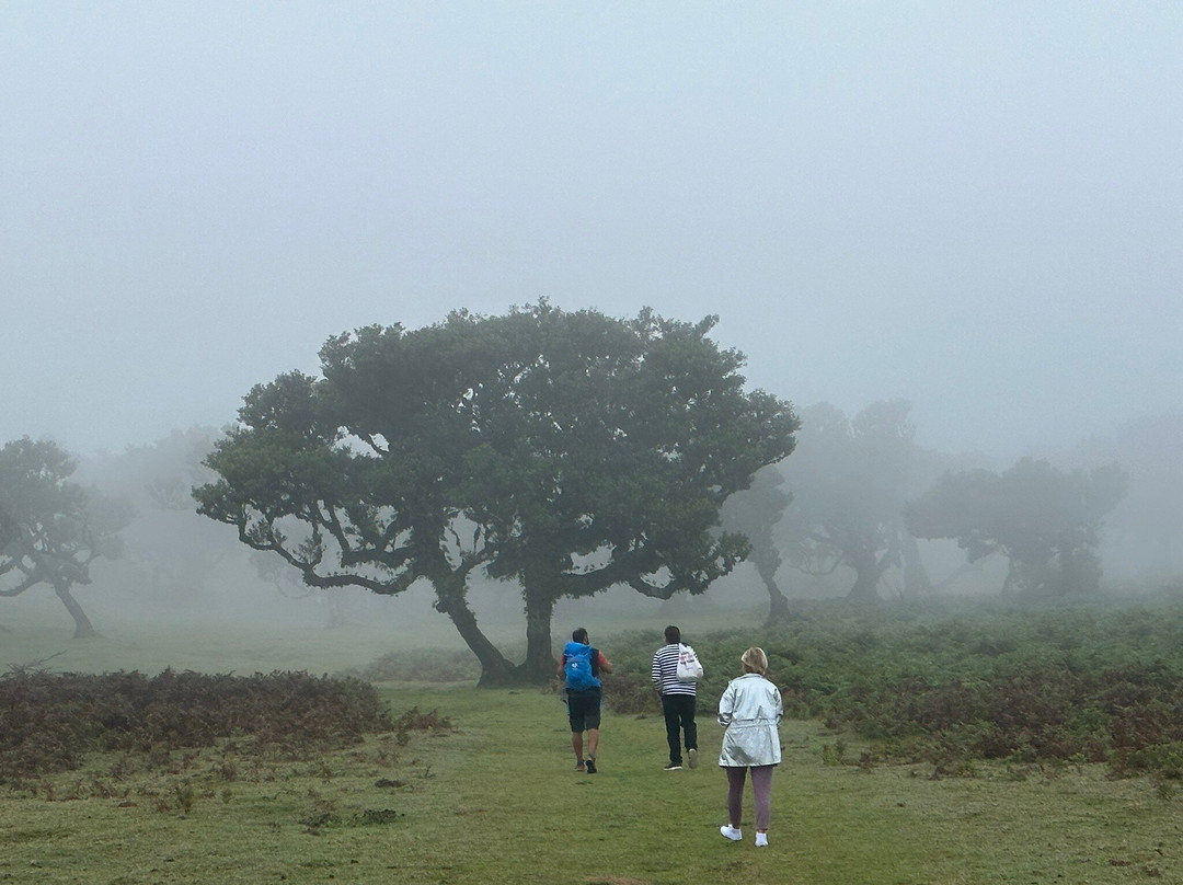 Madeira Trekking On Demand-沙尔必去景点
