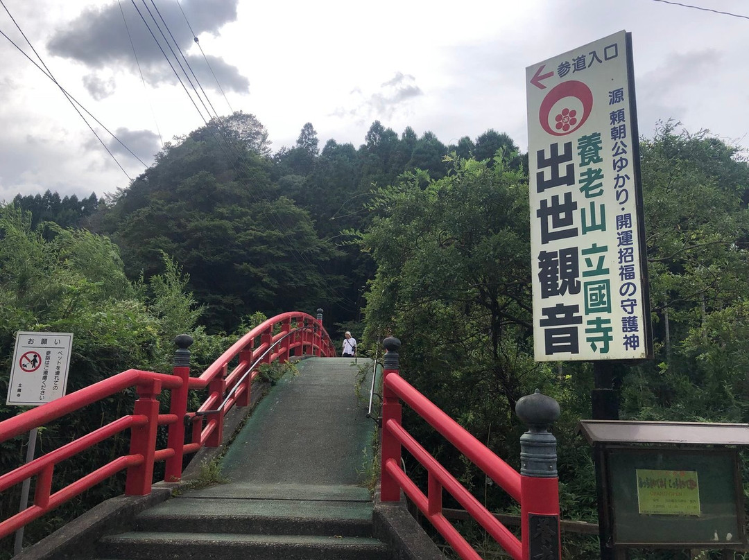 Kannonbashi Bridge-市原市必去景点