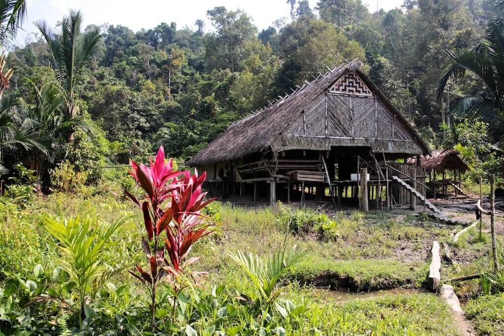 Siberut旅游攻略图片